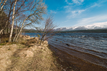Beautiful loch in a sunny day
