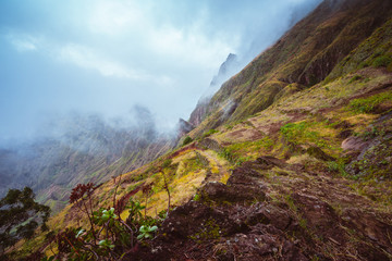 Fototapeta na wymiar Rugged mountain peak overgrown with verdant grass and encase by the fog. Some plants growing in foreground. Xo-Xo Valley, Santo Antao Island, Cape Verde Cabo Verde