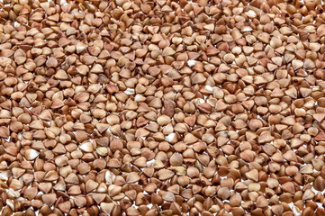 Background of buckwheat groats on the entire field of the image.