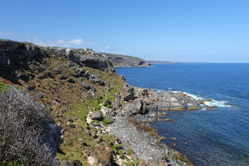 sea ​​coast overlooking the ocean