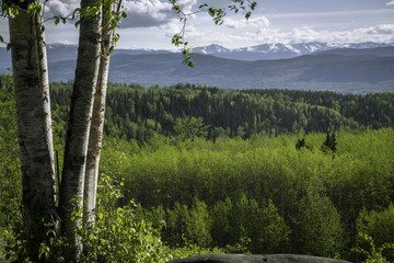 Spring in the Coastal Mountains