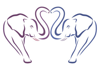 A pair of loving elephants creating a heart with proboscis