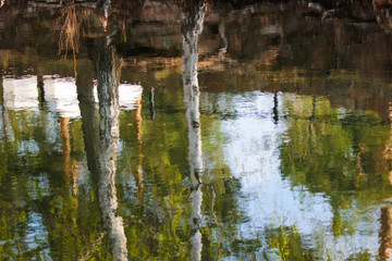 Reflection of trees in the lake, in the river, in the water