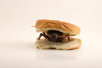 Roach Burger