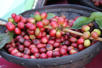 Fresh Rip coffee on wood tray.