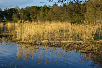 Beautiful evening view, shore and sea, Korpo island, Finland
