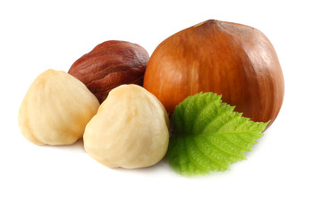 hazelnuts with leaves isolated on white background. macro