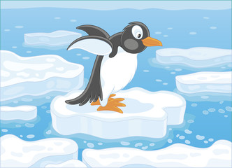 Funny Antarctic penguin on a drifting ice floe in a polar sea