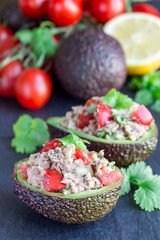 Obraz na płótnie Canvas Salad with tuna, avocado, tomatos, coriander and lemon juice served in avocado bowl, ingredients on background, vertical