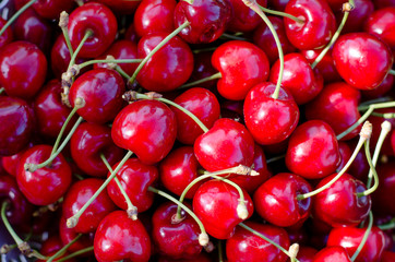 cherry fruit background
