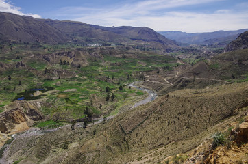 Fototapeta na wymiar Colca Canyon panorama, Peru,South America. Incas to build Farming terraces.