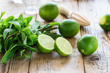 Ingredients for making  summer drink mojito