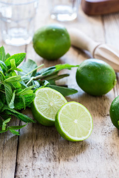 Ingredients for making  summer drink mojito