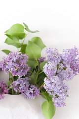Lilac bouquet in craft white bag
