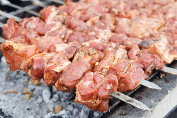 Marinated barbecue meat on skewer. Shish kebab or Shashlyk meaning skewered meat. Beef or pork on grill on an open fire. Street food, picnic concept