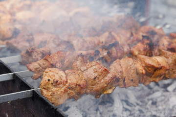 Marinated barbecue meat on skewer. Shish kebab or Shashlyk meaning skewered meat. Beef or pork on grill on an open fire with smoke. Street food, picnic concept