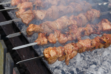 Marinated barbecue meat on skewer. Shish kebab or Shashlyk meaning skewered meat. Beef or pork on grill on an open fire with smoke. Street food, picnic concept