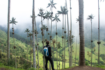 Randonnée dans la vallée de Cocora, Colombie © Suzanne Plumette
