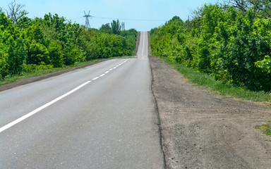 Fototapeta na wymiar Empty asphalt road in the forest.