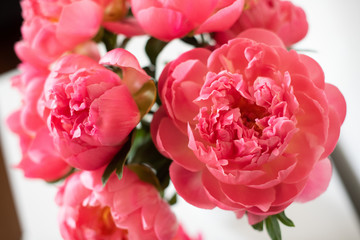 Hot pink peonies 