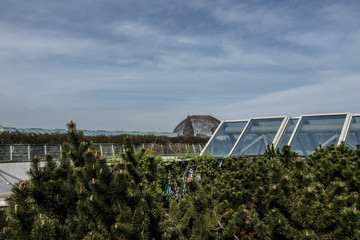 Obraz premium city roof with plants and relaxing places 