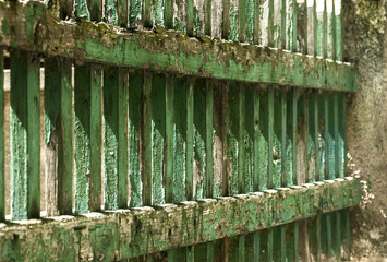 Fototapeta premium Old grunge vintage weathered wooden faded pale cracked painted green boards house garden fence closeup as urban background