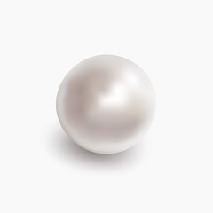 White shiny sea pearl - obrazy, fototapety, plakaty