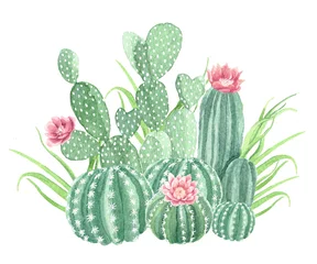 Zelfklevend Fotobehang Cactus Aquarel Cactus en vetplanten