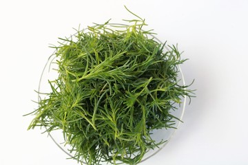 収穫したおかひじき