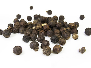 Black Pepper seeds isolated on white background