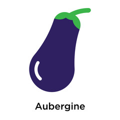 Aubergine icon vector sign and symbol isolated on white background