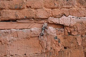 The idea of design embossed wall of an old textured bricks

