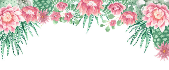 Watercolor Cactus and Succulents © aves