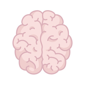 Brain icon. Flat vector symbol