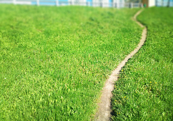 Curved path on green summer lawn bokeh background