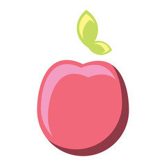 apple fruit icon over white background, vector illustration
