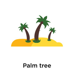 Palm tree icon vector sign and symbol isolated on white background