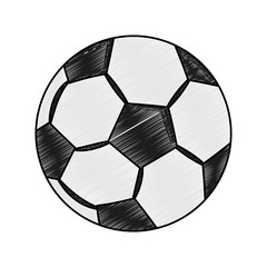 Soccer ball isolated vector illustration graphic design