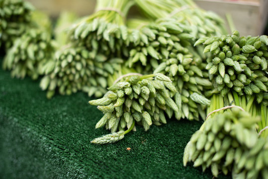 Petit asparagus at the farmers market in Paris