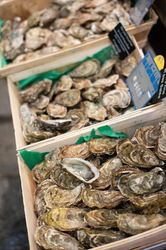 Fresh French Oysters at the market in Paris 
