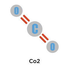 Co2 icon vector sign and symbol isolated on white background