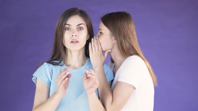 Woman with long dark hair telling a secret to attractive brunette in light blue t-shirt, isolated shot in the purple background, concept of gossiping