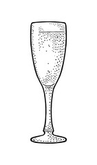 Champagne glass. Vintage vector engraving illustration for web