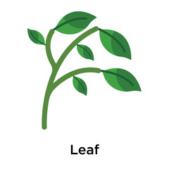 Leaf icon vector sign and symbol isolated on white background
