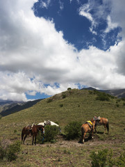 Fototapeta na wymiar Andes Mendoza Argentina South America