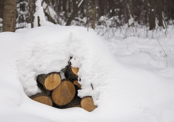 Close-up of pile of snow covered timber logs underneath a thick snow cover