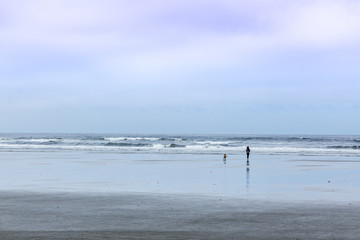A woman and dog walking towards the waves