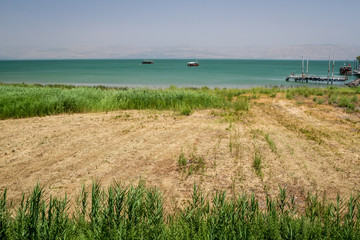 Fototapeta na wymiar The Coast of the Sea of Galilee, Israel