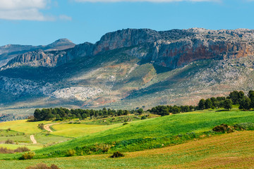 Fototapeta na wymiar mountain landscape near El Chorro Gorge, Andalusia, Spain