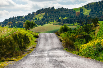 empty road in the mountain near El Chorro Gorge, Andalusia, Spain